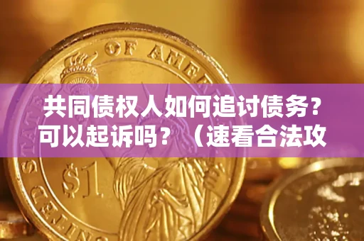 北京共同债权人如何追讨债务？可以起诉吗？（速看合法攻略）